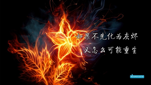 一老头一老太情侣头像4