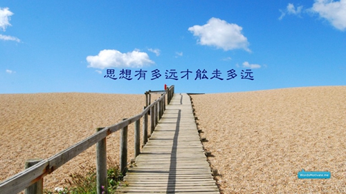 单身狗证书头像4