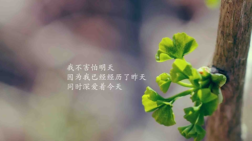 个性头像女生时尚3
