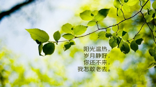 美羊羊好看头像4