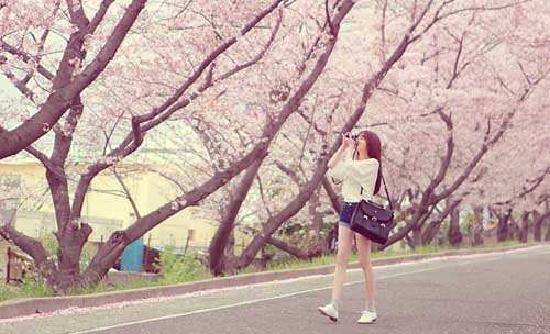 他喜欢的是你(<font color=#ff0000>梁咏琪)-中文_弹Ways_vs_Eddy