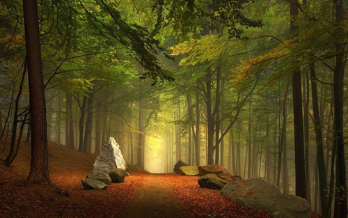 Juicy_Girl(Jw粤语)-中文ElectroHouse(陈公子_Mashup)