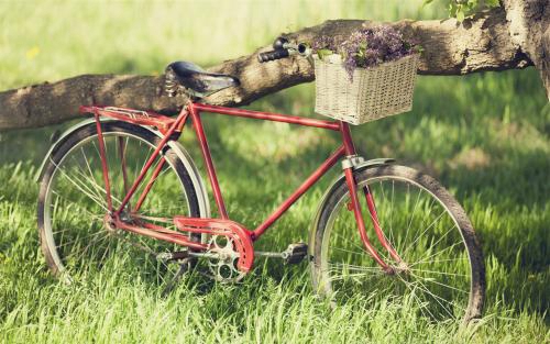 刘明湘 - <font color=#ff0000>漂洋过海来看你Dj DjCandy Mix