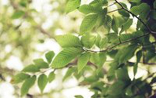 121 热播 Stay With Me (feat. Paul Lock) (Paul Lock Remix)