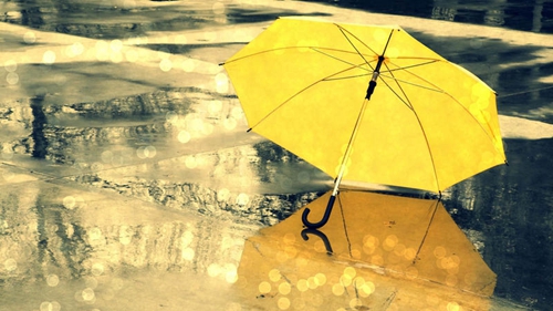 邵雨涵 我不在乎 网络单曲 铃声