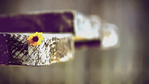 抖音神曲 Beyond - 可否冲破 (DJQuanVsDJTerri 2022 ReMix)