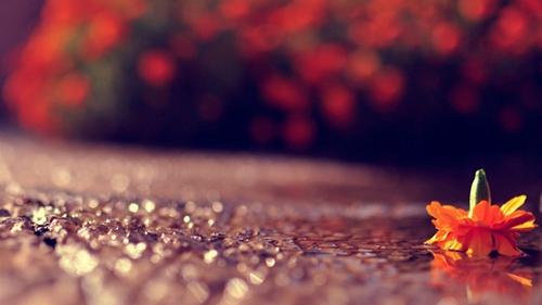 极品旋律电音完美舞曲串烧，经典慢摇之气氛男唱DJ舞曲串烧