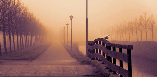 极品硬核中文舞曲不敢去爱DJ版，极品音质中文DJ复制品超劲爆