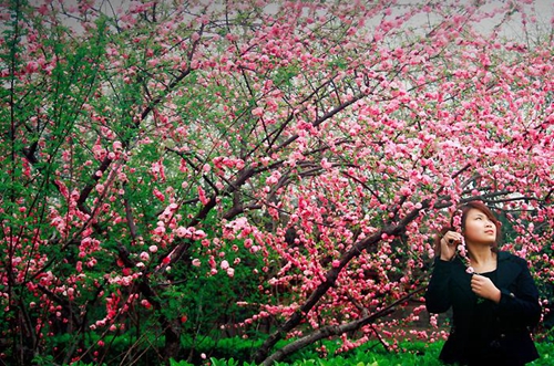djmp3光头，djmp3合成器
