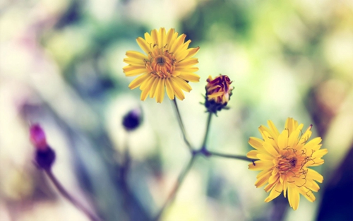 桂林dj333，桂林dj330舞曲