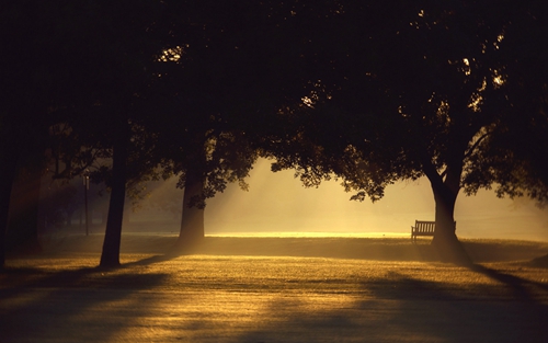 dj舞曲酒吧舞曲视频播放，dj舞曲酒吧舞曲视频