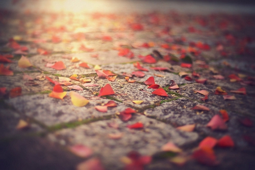 dj舞曲nice慢摇酒吧，dj舞曲nanana慢摇电音