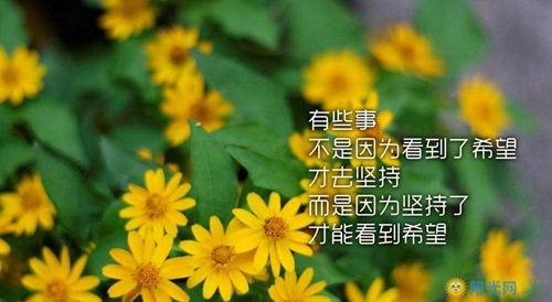2021劲爆的咚咚DJ舞曲