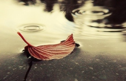 雨辰什么歌曲最好听~