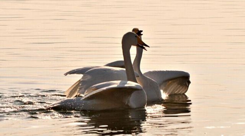 哪些说唱的DJ音乐最嗨？