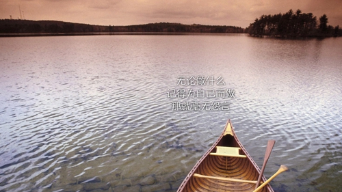 抖音977是什么梗