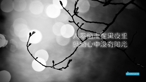 小清新话语爱情句子2