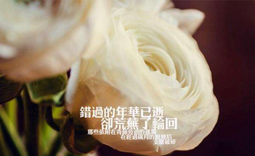 五个字霸气的情侣网名唯美