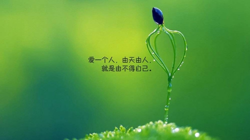 白色巨塔说的是什么（开车 - 白色巨塔）