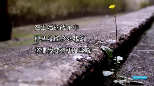 dj美羊羊什么梗[06耶稣是神的儿子 - 程蒙恩DJ]