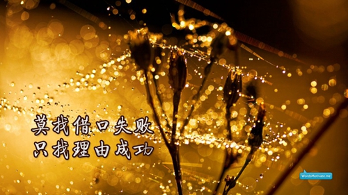 快手dj电锯声的