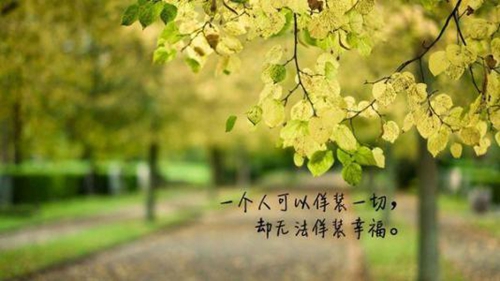 推荐20句加油的中秋祝福语
