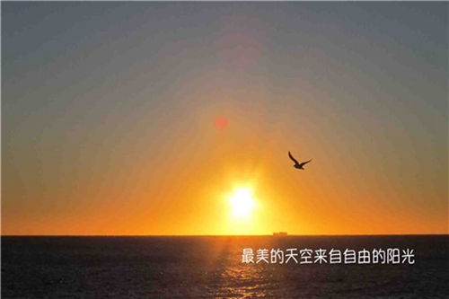 兄弟签名网名头像一套的