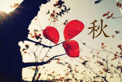 别让激情蒙蔽了理智的语句（精选25句）