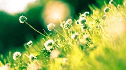 春节道歉短信