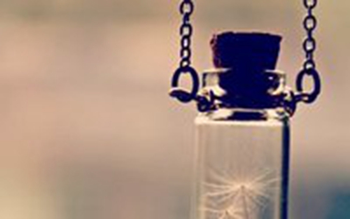 写给我只想爱伱的情话