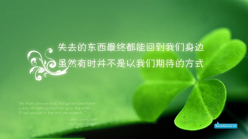 你的样子dj经典