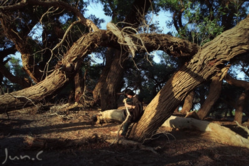 执迷不悟dj小乐哥免费下载