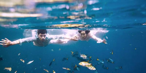 儿歌劲爆dj舞曲嗨起来
