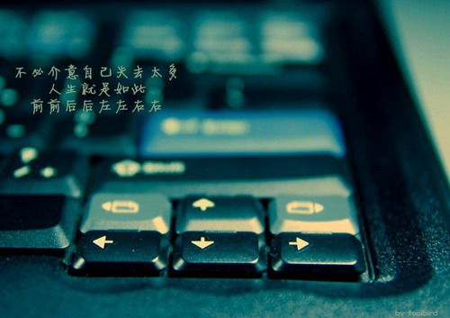 排行榜